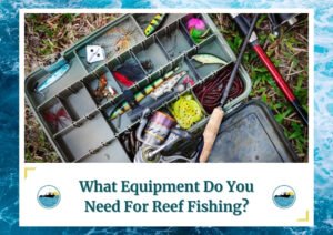 A tackle box filled with various fishing lures, hooks, and a fishing rod, illustrating the essential gear for reef fishing. The image is part of a blog post titled What Equipment Do You Need For Reef Fishing? by Fish Daily Charters, prominently featuring the keyword in the text overlay along with the Fish Daily Charters logo.