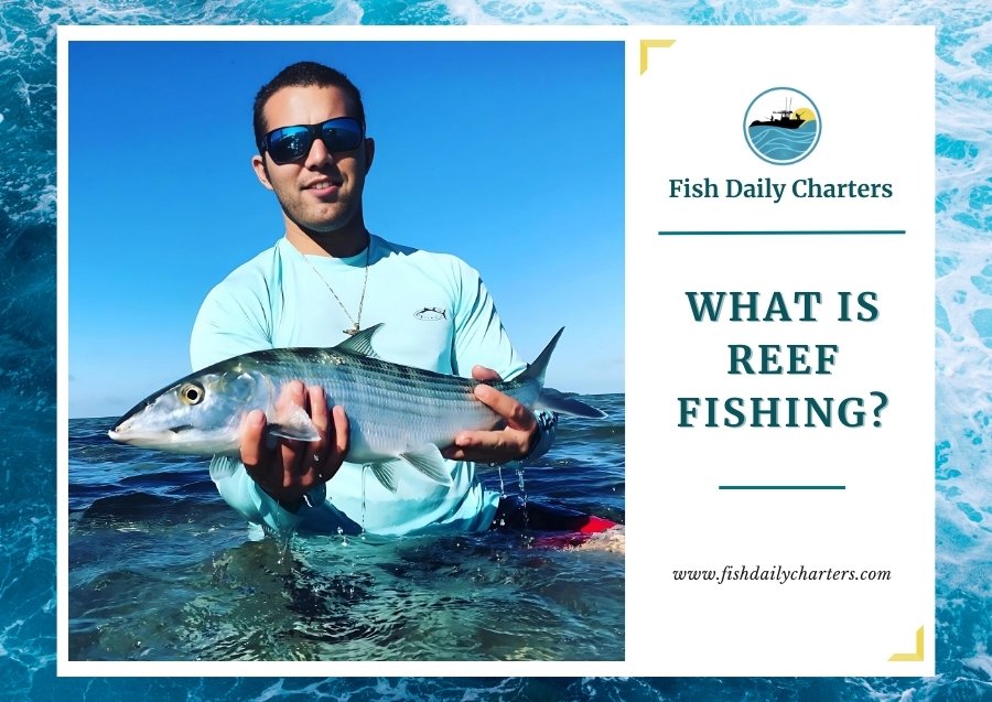A person standing in shallow water, holding a fish with both hands and smiling at the camera. The person is wearing sunglasses and a light blue long-sleeved shirt. To the right of the image, there is a white panel with the Fish Daily Charters logo, and text reading 'Fish Daily Charters' and 'WHAT IS REEF FISHING?' Below this text is the website address 'www.fishdailycharters.com'. The entire image is framed by a design resembling water waves.