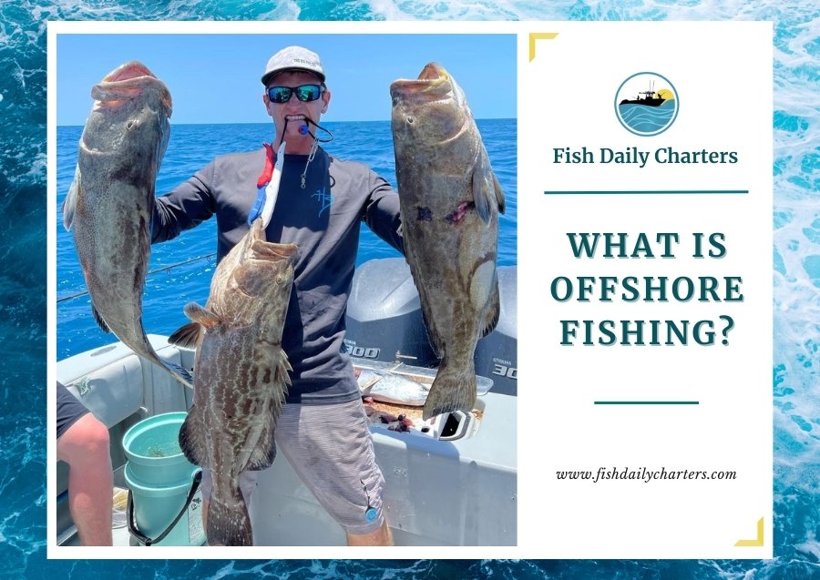 A person standing on a boat holding three large fish, with one in each hand and one held by their mouth. The ocean is visible in the background under a clear blue sky. To the right of the image, there is a white panel with the Fish Daily Charters logo, and text reading 'Fish Daily Charters' and 'WHAT IS OFFSHORE FISHING?' Below this text is the website address 'www.fishdailycharters.com'. The entire image is framed by a design resembling water waves.