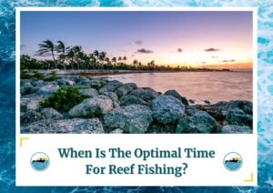 A scenic coastal view at sunset with palm trees and rocky shoreline, illustrating a serene environment for reef fishing. The image is part of a blog post titled When Is The Optimal Time For Reef Fishing? by Fish Daily Charters, prominently featuring the keyword in the text overlay along with the Fish Daily Charters logo.