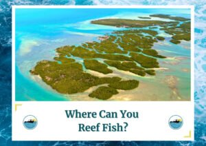 An aerial view of a coastal area with numerous small islands and clear blue waters, illustrating an ideal location for reef fishing. The image is part of a blog post titled Where Can You Reef Fish? by Fish Daily Charters, prominently featuring the keyword in the text overlay along with the Fish Daily Charters logo.