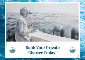 The image shows an angler dressed in a hooded sweatshirt, standing at the stern of a boat while holding a fishing rod over calm, misty waters. The scene captures the serene and focused moment of fishing with the boat's engines and the expansive ocean in the background. The text below reads, "Book Your Private Charter Today!" along with the Fish Daily Charters logo.