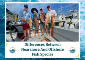 The image shows a group of people standing on a boat, each holding up large fish they have caught. The boat is docked, and other boats can be seen in the background. The text at the bottom of the image reads, "Differences Between Nearshore And Offshore Fish Species." The image is framed with a water wave design and includes a logo featuring a fishing boat.