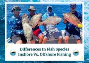 Four people sitting on a boat, each holding large fish they caught. The group is smiling and dressed in fishing attire, with the blue ocean visible in the background. The image is framed by a design resembling water waves. Below the photo is a caption: 'Differences In Fish Species Inshore Vs. Offshore Fishing' with two small circular icons depicting a boat on water, which is the logo of Fish Daily Charters.