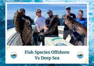 The image shows five anglers standing on a boat, proudly displaying their impressive catch of large fish. Each angler holds up a different fish, showcasing the variety and size of the fish species available in offshore and deep sea fishing. The backdrop features a clear blue sky and calm ocean waters, highlighting the beautiful day out on the water. The text below reads, "Fish Species Offshore Vs Deep Sea" along with the Fish Daily Charters logo.