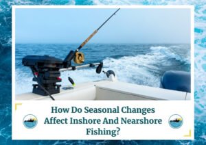 A fishing rod is set up at the back of a boat cruising through the ocean, with waves trailing behind. The scene is set on a clear day, and the water extends to the horizon. The image is framed with a design resembling water waves, and below the photo is a caption: How Do Seasonal Changes Affect Inshore And Nearshore Fishing? There are two small circular icons depicting a boat on water, which is the logo of Fish Daily Charters.