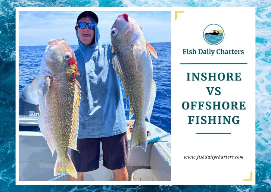 A person standing on a boat holding two large fish, one in each hand. The person is wearing sunglasses and a blue long-sleeved shirt. To the right of the image, there is a white panel with the Fish Daily Charters logo, and text reading 'Fish Daily Charters' and 'INSHORE VS OFFSHORE FISHING'. Below this text is the website address 'www.fishdailycharters.com'. The entire image is framed by a design resembling water waves.