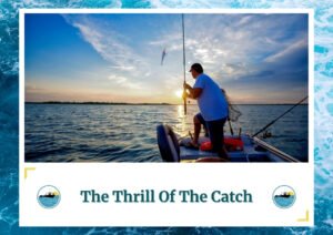 The image shows a person standing on a boat, holding a fishing rod as the sun sets over the water. The person is focused on their fishing activity, with the scenic sunset creating a beautiful backdrop. The text at the bottom of the image reads The Thrill Of The Catch, with the Fish Daily Charters logo on either side.