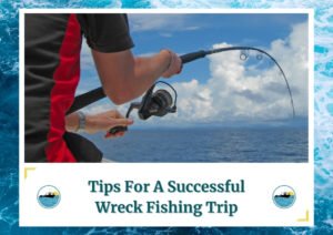 The image shows an angler's arms holding a fishing rod and reel, actively engaged in reeling in a catch. The background features a calm blue ocean and a sky with scattered clouds, creating a picturesque setting for fishing. The text below reads, "Tips For A Successful Wreck Fishing Trip" along with the Fish Daily Charters logo.