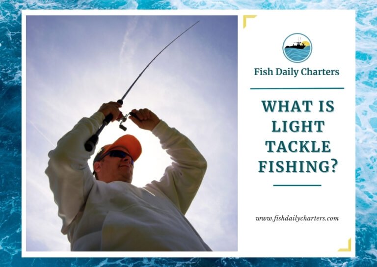 The image shows a man in a hat and sunglasses holding a fishing rod, viewed from below against the sky. The text on the right side of the image reads What is Light Tackle Fishing? with the Fish Daily Charters logo above it and the website URL www.fishdailycharters.com below it.