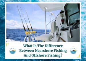 The image features a well-equipped fishing boat with multiple fishing rods mounted on the side, overlooking a calm ocean with distant land visible on the horizon. The text at the bottom of the image reads, "What Is The Difference Between Nearshore Fishing And Offshore Fishing?" with the Fish Daily Charters logo on either side of the text. This visual effectively conveys the setting and equipment used in both nearshore and offshore fishing.