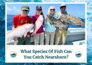 The image shows a family of four standing on a boat, each holding a large fish they caught, smiling towards the camera. The fish include species like red snapper and grouper, indicative of nearshore fishing catches. The image is overlaid with text at the bottom asking, "What Species Of Fish Can You Catch Nearshore?" and features the Fish Daily Charters logo on either side of the text. The visual effectively highlights the variety of fish species available in nearshore fishing.
