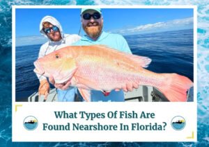 The image shows two anglers on a boat holding a large red snapper, which is a popular catch in nearshore fishing. The anglers are smiling and wearing fishing gear, with the ocean in the background. The image is overlaid with text at the bottom asking, "What Types Of Fish Are Found Nearshore In Florida?" and features the Fish Daily Charters logo on either side of the text. The visual effectively highlights the types of fish that can be caught in nearshore fishing in Florida.