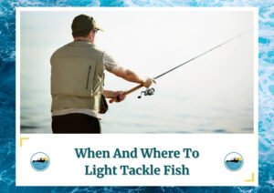 The image shows a man standing near the water, holding a fishing rod and wearing a fishing vest and hat, focused on casting his line. The text at the bottom of the image reads When And Where To Light Tackle Fish, with the Fish Daily Charters logo on either side.