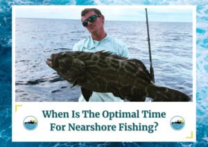 The image shows an angler holding a large fish, presumably caught during a nearshore fishing trip. The angler is wearing sunglasses and fishing gear, with the ocean as the background. The text at the bottom of the image reads, "When Is The Optimal Time For Nearshore Fishing?" with the Fish Daily Charters logo on either side of the text. The visual effectively highlights the concept of timing for optimal nearshore fishing experiences.