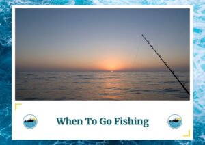 The image shows a serene ocean scene at sunset, with the sun just above the horizon casting a warm glow over the calm waters. In the foreground, a fishing rod is angled into the water, capturing the peaceful moment of fishing at dusk. The text below reads, "When To Go Fishing" along with the Fish Daily Charters logo.