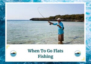The image shows an angler standing knee-deep in clear, shallow water, casting a fishing rod with a fly reel. The backdrop features a picturesque shoreline with lush greenery and a calm, clear blue sky, highlighting the serene environment ideal for flats fishing. The angler is wearing a light blue shirt, hat, and sunglasses, prepared for a day of fishing. The text below reads, "When To Go Flats Fishing" along with the Fish Daily Charters logo.