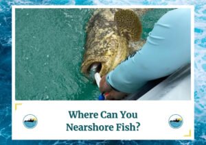 The image shows a large fish being held alongside a boat, with the fish partially submerged in water. The person holding the fish is using a lip grip tool to secure the fish. The text at the bottom of the image reads, "Where Can You Nearshore Fish?" with the Fish Daily Charters logo on either side of the text. This visual effectively illustrates the concept of nearshore fishing locations.