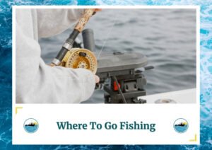 The image shows a close-up of an angler's hands holding a fishing rod and reel, ready to cast into the water. The background features a blurred view of calm waters, emphasizing the focus on the fishing gear. The text below reads, "Where To Go Fishing" along with the Fish Daily Charters logo.