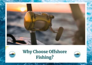 The image shows a close-up of a fishing reel mounted on a rod, with the ocean and a beautiful sunset in the background. The soft, warm light from the setting sun highlights the reel, creating a serene and inviting atmosphere for offshore fishing. The text below reads, "Why Choose Offshore Fishing?" along with the Fish Daily Charters logo.