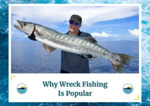 The image shows a proud angler holding up a large barracuda he caught while standing on a boat. The background features a calm ocean and a clear sky with a few scattered clouds, highlighting the picturesque setting. The angler is wearing sunglasses, a hat, and gloves, indicating a well-prepared fishing trip. The text below reads, "Why Wreck Fishing Is Popular" along with the Fish Daily Charters logo.