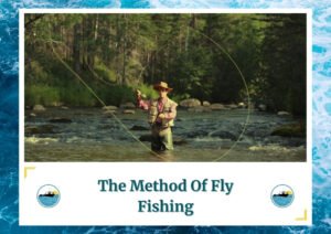 This image showcases an angler fly fishing in a serene river setting surrounded by lush greenery. The text at the bottom reads "The Method Of Fly Fishing" with the Fish Daily Charters logo on either side.