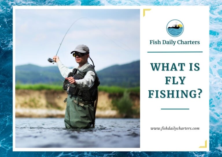 The image depicts an angler engaged in fly fishing, standing in a river, casting the line with precision. The text on the right reads "Fish Daily Charters" followed by "WHAT IS FLY FISHING?" and the URL "www.fishdailycharters.com" at the bottom. The design includes the Fish Daily Charters logo.