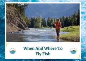 The image shows an angler fly fishing in a scenic river setting surrounded by trees and mountains. The text at the bottom reads, "When And Where To Fly Fish," with the Fish Daily Charters logo on either side of the text.