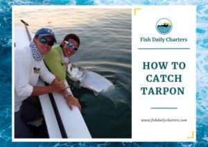 The image features two anglers on a boat holding a large, freshly caught tarpon near the water's edge. Both fishermen are smiling proudly with the fish, which is still partially submerged. The text on the right side reads "Fish Daily Charters - How to Catch Tarpon" with the company logo and website URL, www.fishdailycharters.com. This image emphasizes tarpon fishing, a popular sport in Key West, and invites viewers to learn effective techniques for catching this species.