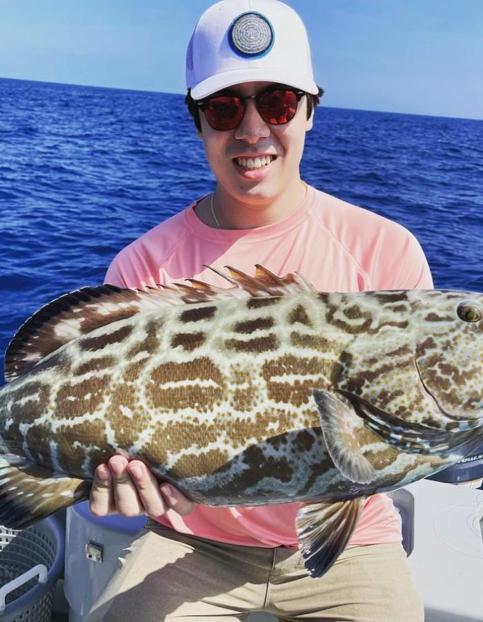Grouper Fishing in Key West A man sits on a boat under a clear blue sky, proudly holding a large, patterned grouper fish. He is wearing a pink shirt, beige shorts, a white cap, and sunglasses. The deep blue ocean is visible in the background. This grouper was caught on a fishing charter with Fish Daily Charters, specializing in "Grouper fishing in Key West."