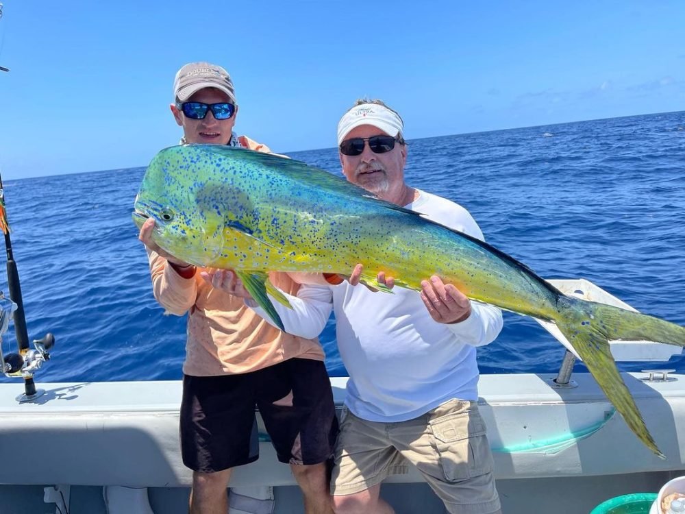 Mahi-Mahi Fishing Charters in Key West Two men stand on a boat under a clear blue sky, proudly holding a large, colorful Mahi Mahi fish. The man on the left is wearing a peach long-sleeve shirt, a cap, and sunglasses, while the man on the right is wearing a white long-sleeve shirt, a headband, and sunglasses. The deep blue ocean serves as a backdrop. This Mahi Mahi was caught on a fishing charter with Fish Daily Charters, specializing in "Mahi Mahi fishing charters in Key West."